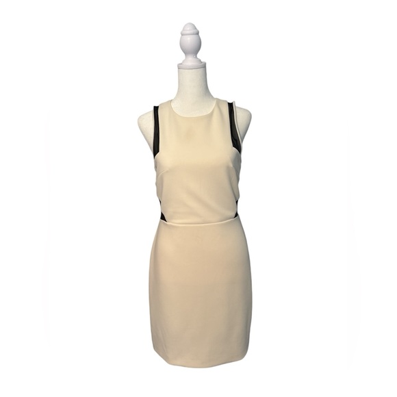 NWT EXPRESS Sleeveless Ivory Bodycon Dress Mesh Inserts - Picture 1 of 3